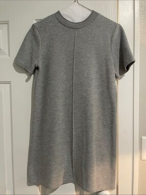 Zara sweater dress
